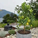 度假居 Grandin Holidayhouse 多马索